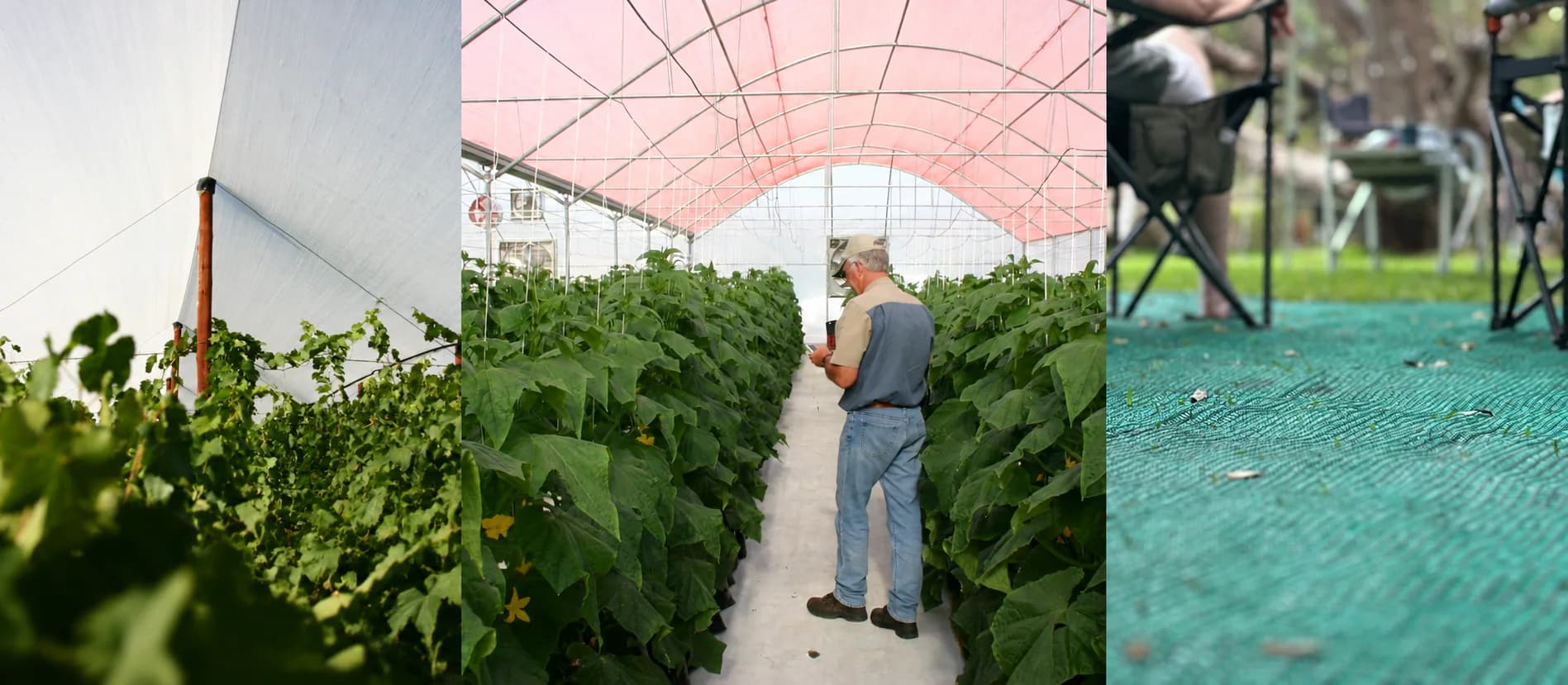 Knittex netting used above an orchard, inside a protected growing structure, and as durable groundcover